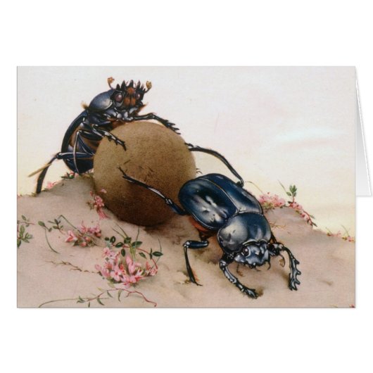 THE SACRED BEETLE 2 CARDS (Front Horizontal)