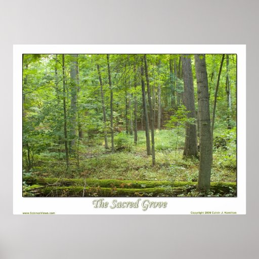 The Sacred Grove Poster | Zazzle