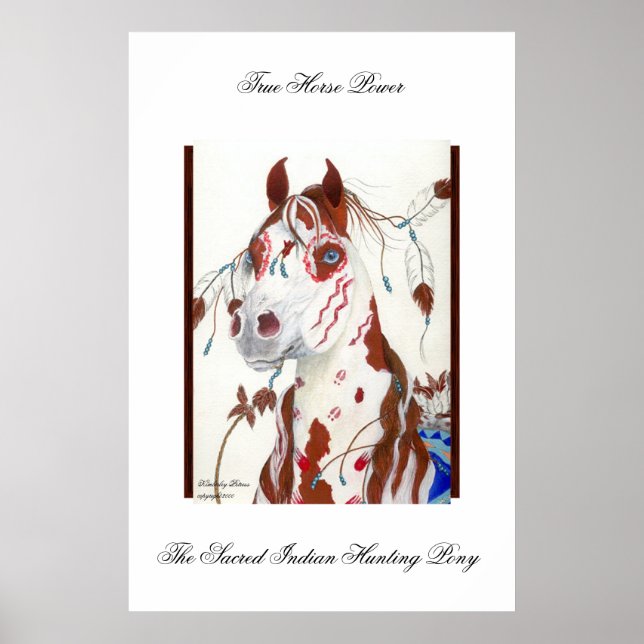 The Sacred Indian Hunting Pony Poster (Front)