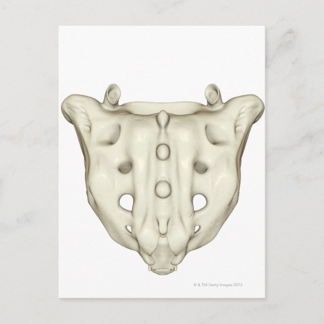 The Sacrum Postcard (Front)