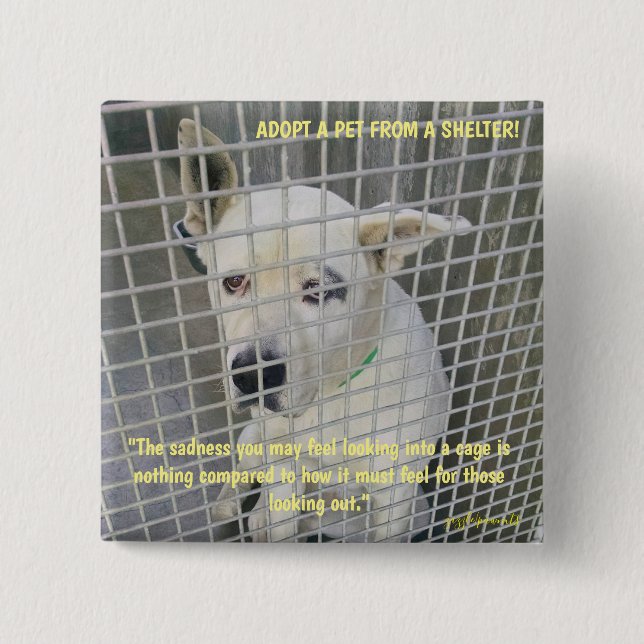 The sadness you see in a shelter dog button (Front)
