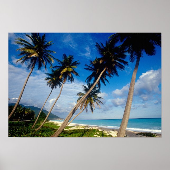 The Samana Peninsula, Dominican Republic, Poster (Front)