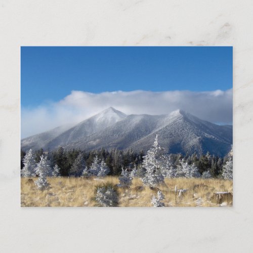 The San Francisco Peaks Of Flagstaff Freshly Coate Postcard