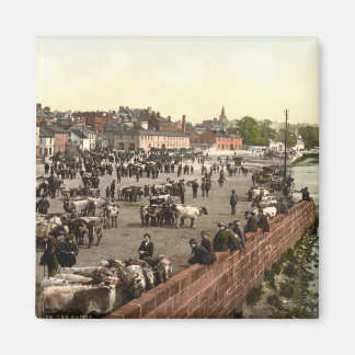 The Sands, Dumfries, Scotland Magnet