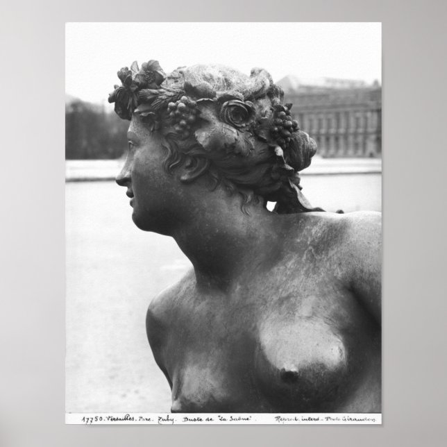 The Saone River ,from the Parterre Poster (Front)