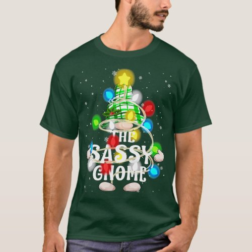 The Sassy Gnome Christmas Matching Family Shirt