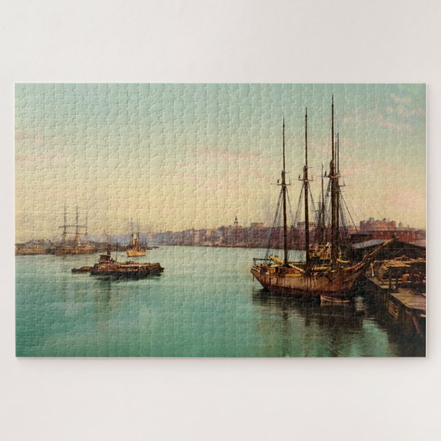The Savannah River Georgia USA 1900 Jigsaw Puzzle (Horizontal)