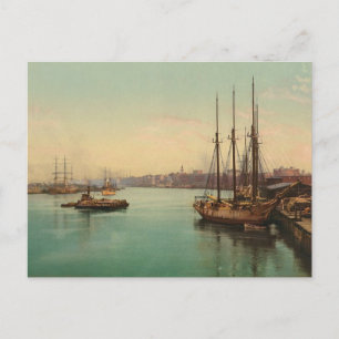 The Savannah River Postcard