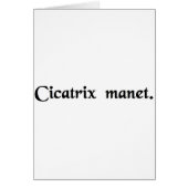 The scar remains. (Front)