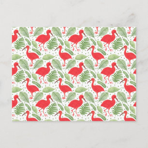 The Scarlet Ibis Postcard