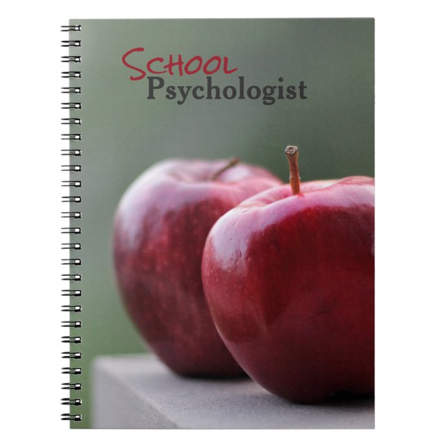The School Psychologist's Notebook (Front)