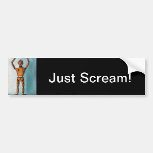 The Scream 2 Bumper Sticker