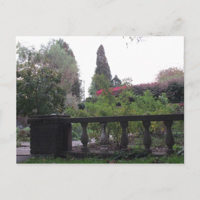 The Scret Garden Postcard (Front)