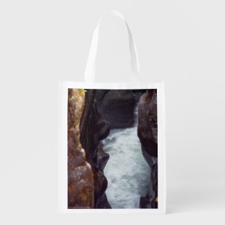 The Sculptor Reusable Grocery Bag