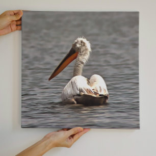 The Sea Breeze Blows The Pelican Where He Wants Acrylic Print