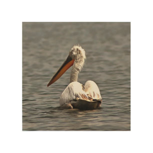The Sea Breeze Blows The Pelican Where He Wants  Wood Wall Art