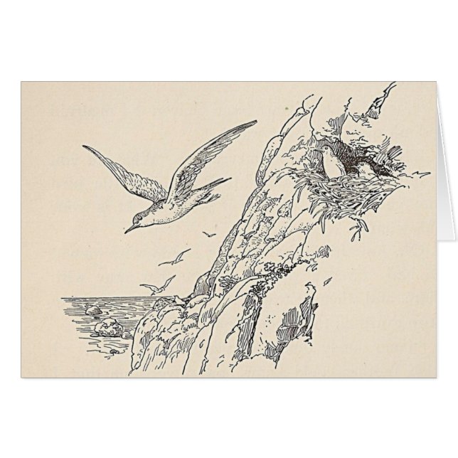 The Sea Gulls Cards (Front Horizontal)