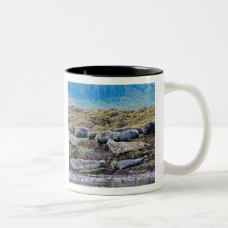 The Sea Lion Family Two-Tone Coffee Mug