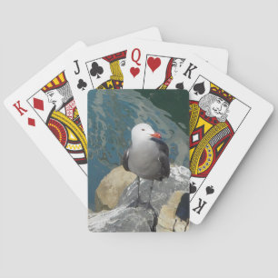 The Seagull Larry Day Ken Gage Bird Photography Poker Cards