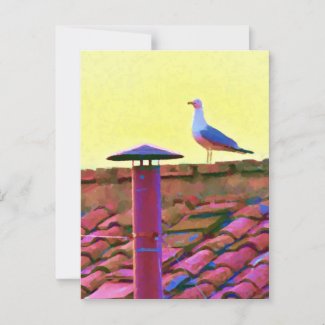 The seagull on an Afternoon of Conclave