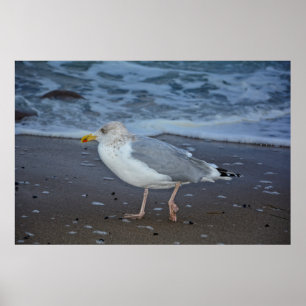 The Seagull Poster