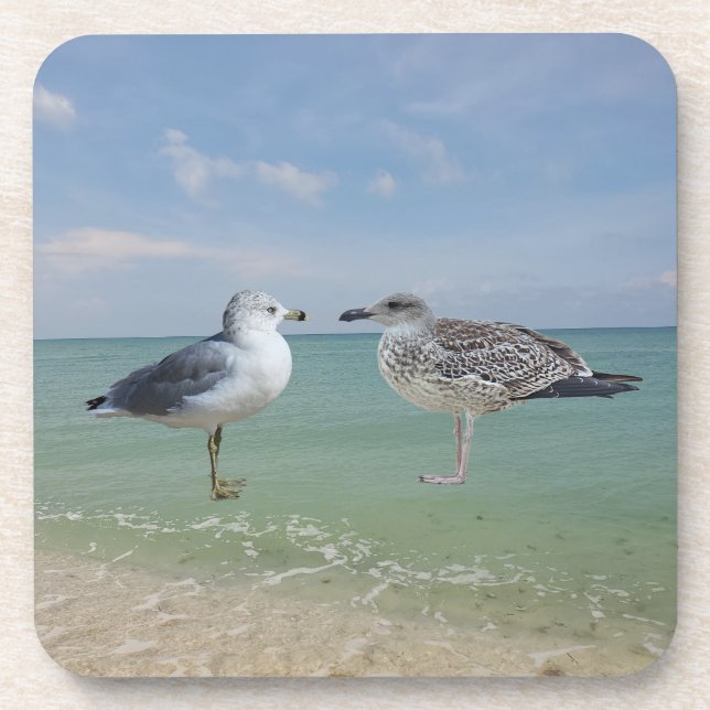 The seagulls beverage coaster (Front)