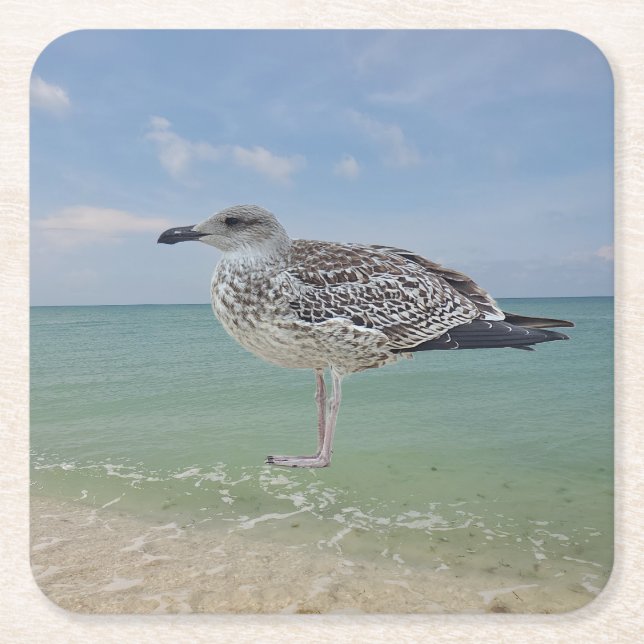 The seagulls square paper coaster (Front)
