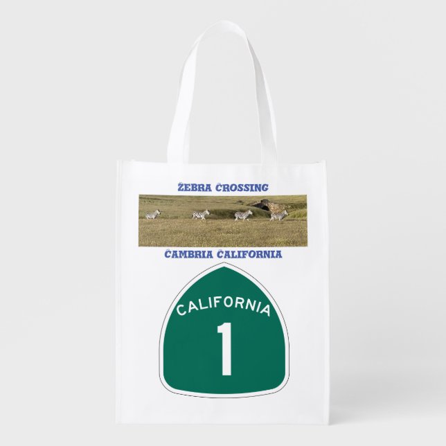 The Seagulls/Zebra Crossing live from Cali Coast Grocery Bag (Front)
