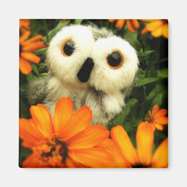 The Search For Fairies Continues... Magnet (Front)