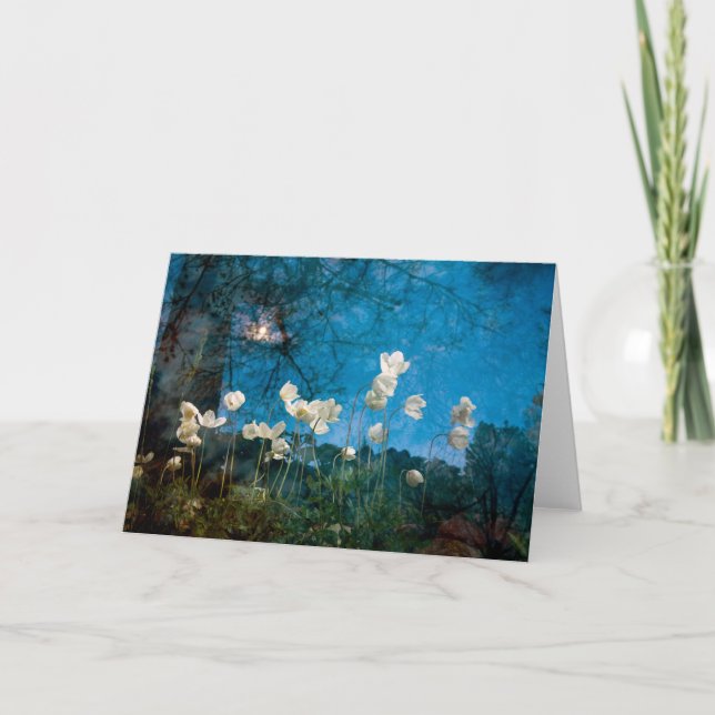 the search of spring card (Front)