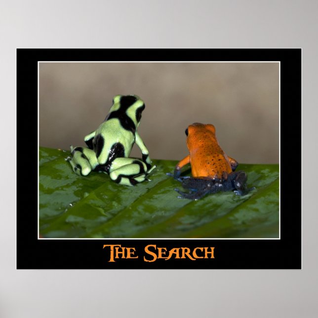 The Search Poster (Front)
