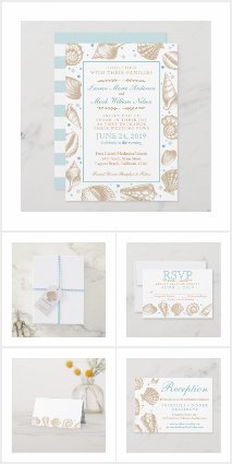 The Seashells Collection
