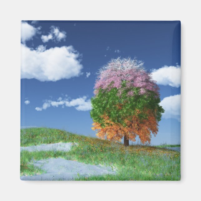 The Season Tree Magnet (Front)