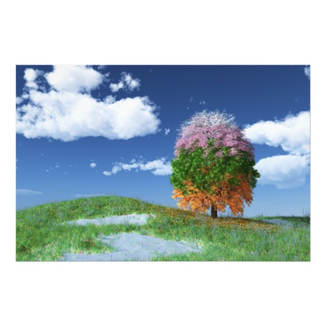 The Season Tree Photo Print (Front)