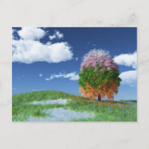 The Season Tree Postcard