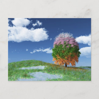 The Season Tree Postcard