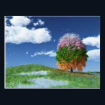 The Season Tree Postcard