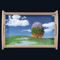 The Season Tree Serving Tray