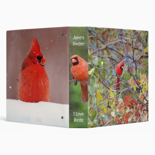 The Seasons of a Red Cardinal Bird Name Binder