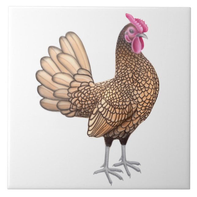 The Sebright Bantam Rooster Tile (Front)