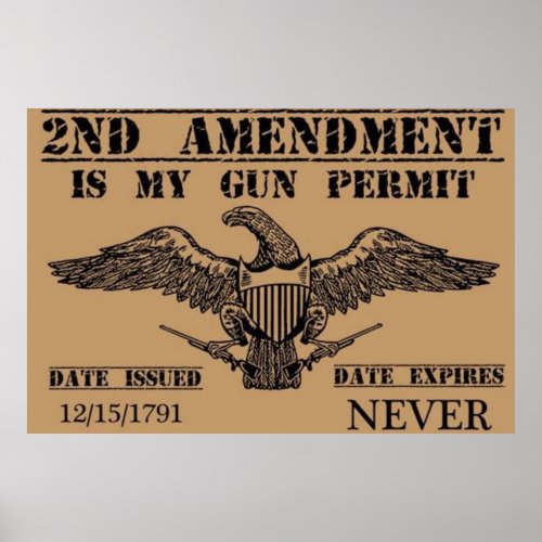 The Second Amendment Door Mat Poster