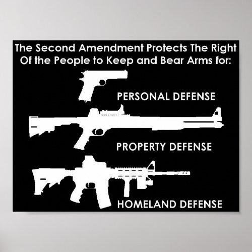 The Second Amendment Protects Poster
