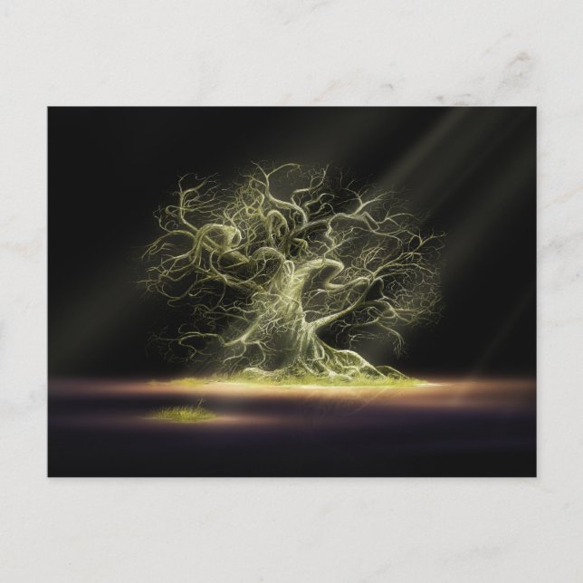 The Secret 4 Postcard (Front)