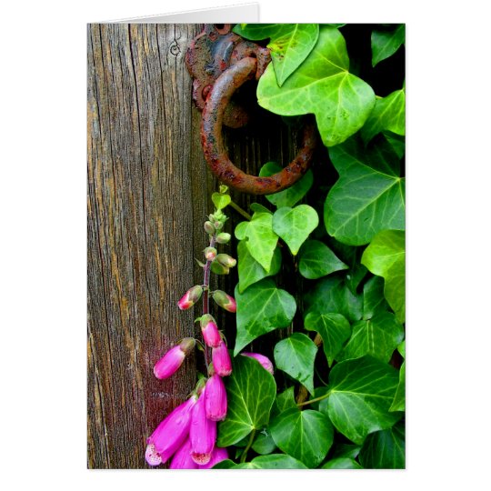 THE SECRET DOOR CARD