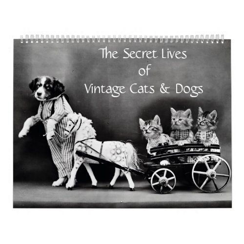 The Secret Lives of Vintage Cats  Dogs Calendar