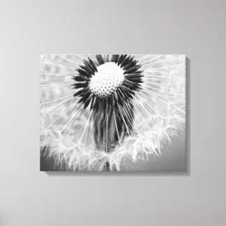 The Seeds of Tomorrow Canvas Print