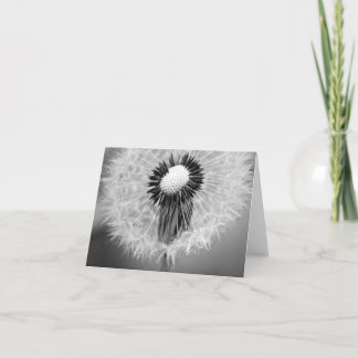 The Seeds of Tomorrow Card