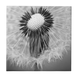 The Seeds of Tomorrow Ceramic Tile