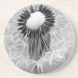 The Seeds of Tomorrow Drink Coaster