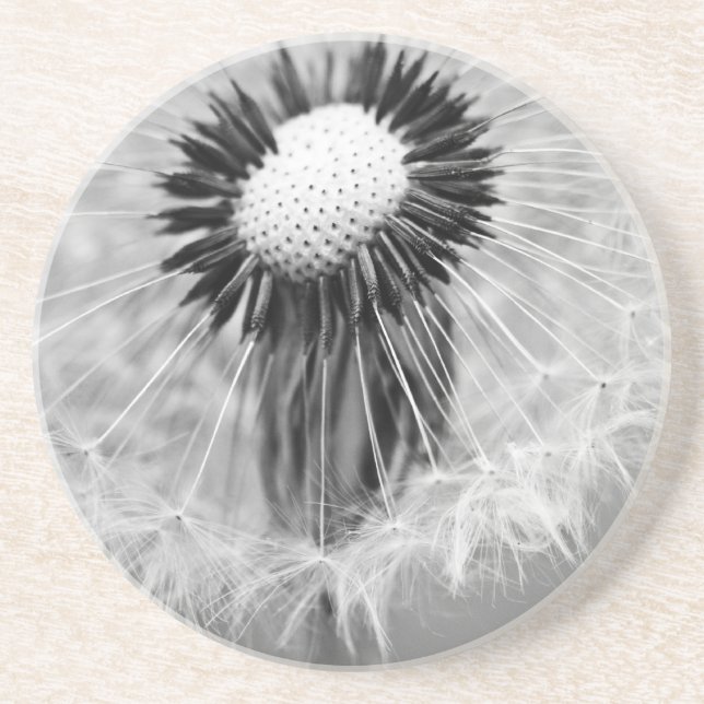 The Seeds of Tomorrow Drink Coaster (Front)